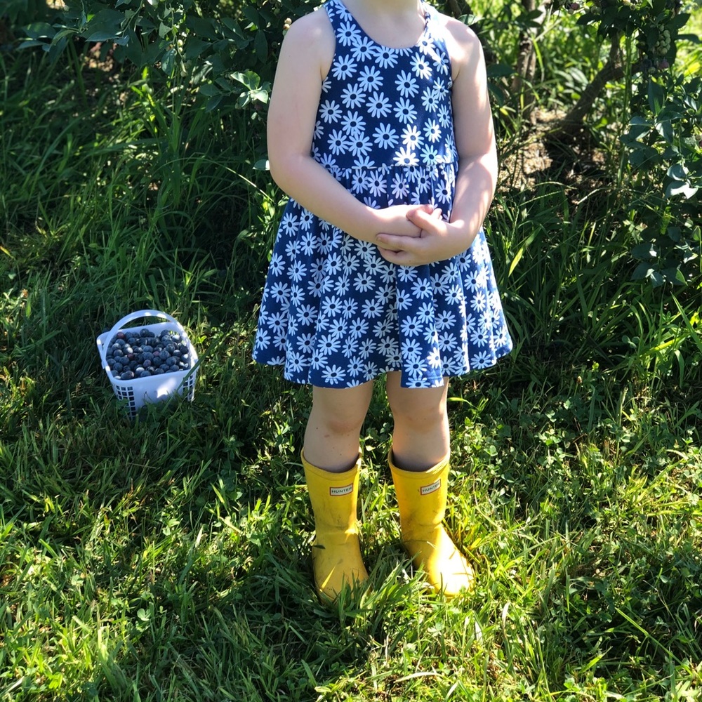 Alice and Ames Penny dress 3T
